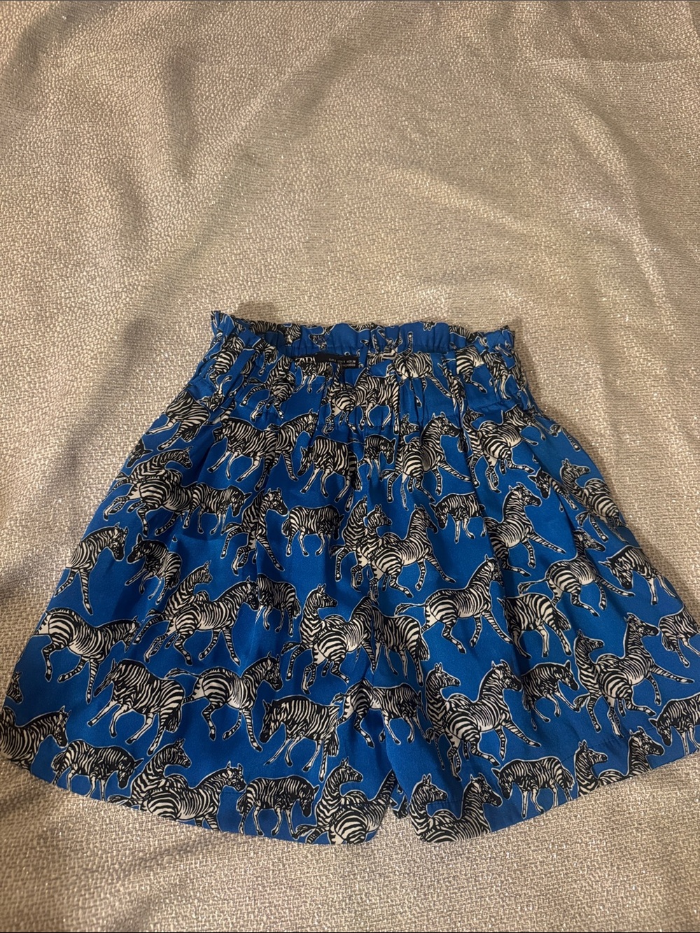 Zara Blue Zebra Print Elastic Waist Skirt